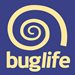 Bug-Life_Logo.jpg
