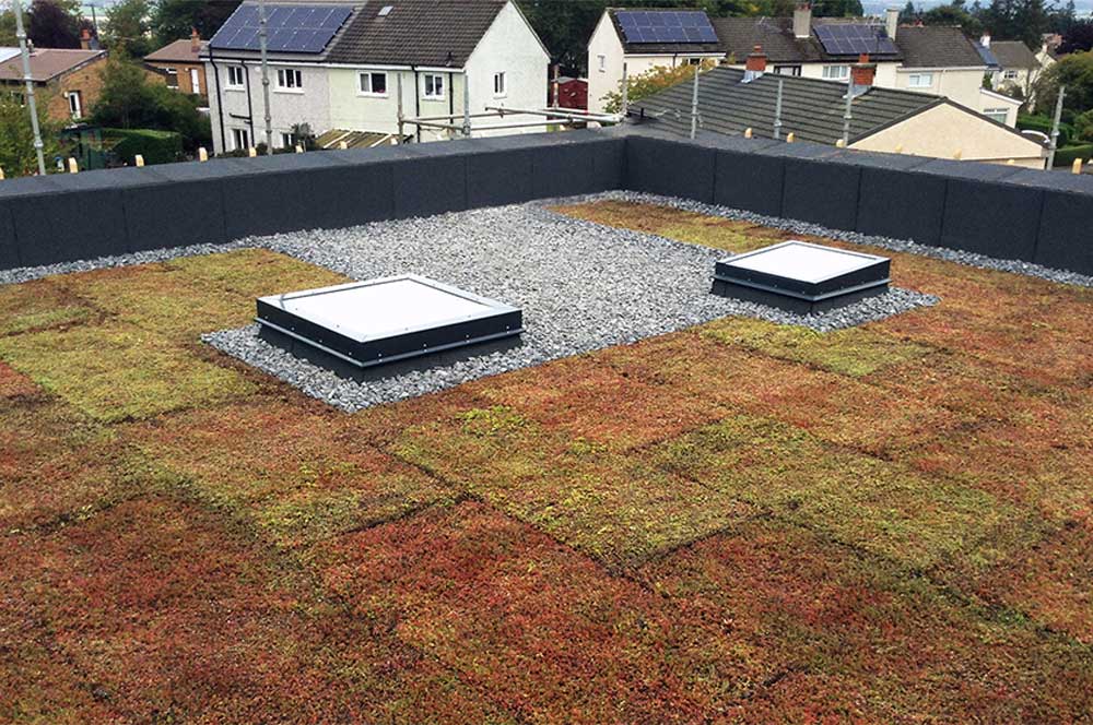 Roof of Ostro Passivhaus with Bauder Total Green Roof System installed with BauderGREEN XF 301 Sedum blanket