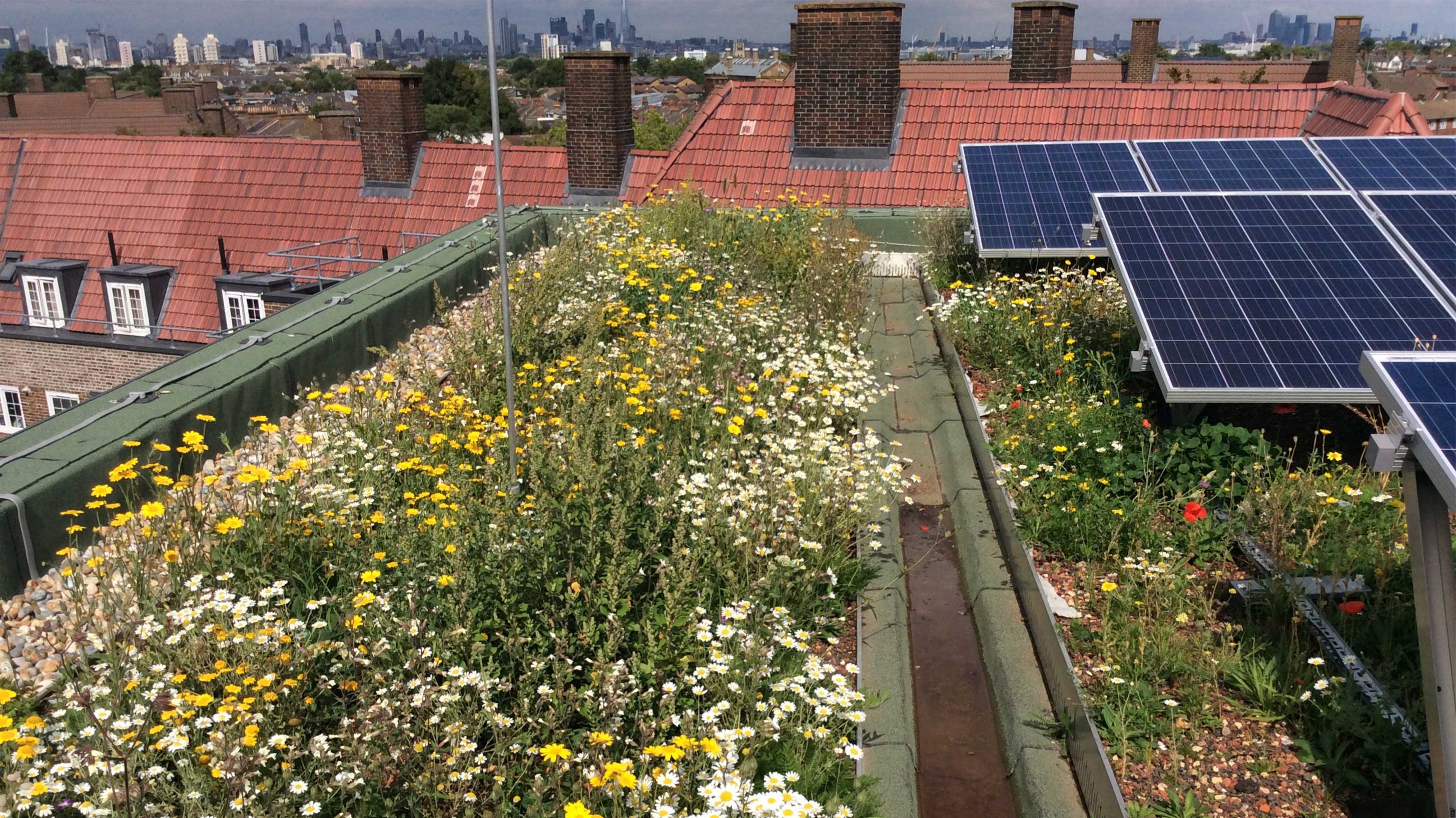 Clapham Park with Bauder Total Green Roof System and SOLAR G Light