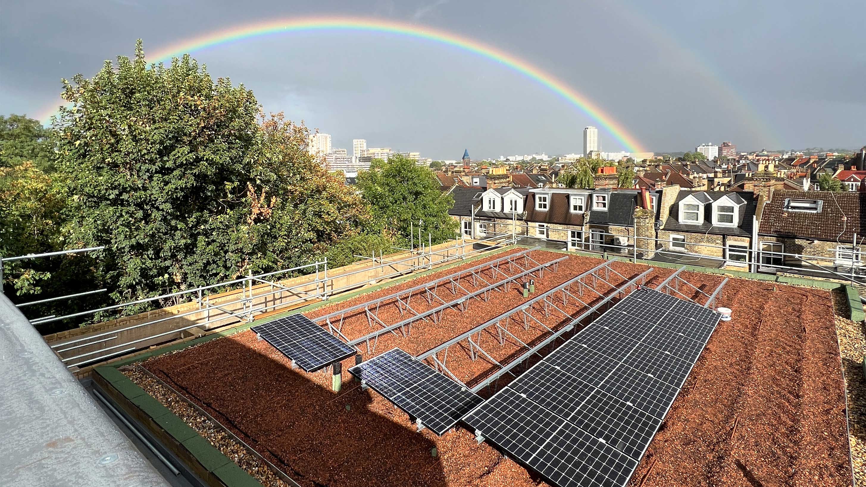 Clapham Park with Bauder Total Green Roof System and SOLAR G Light