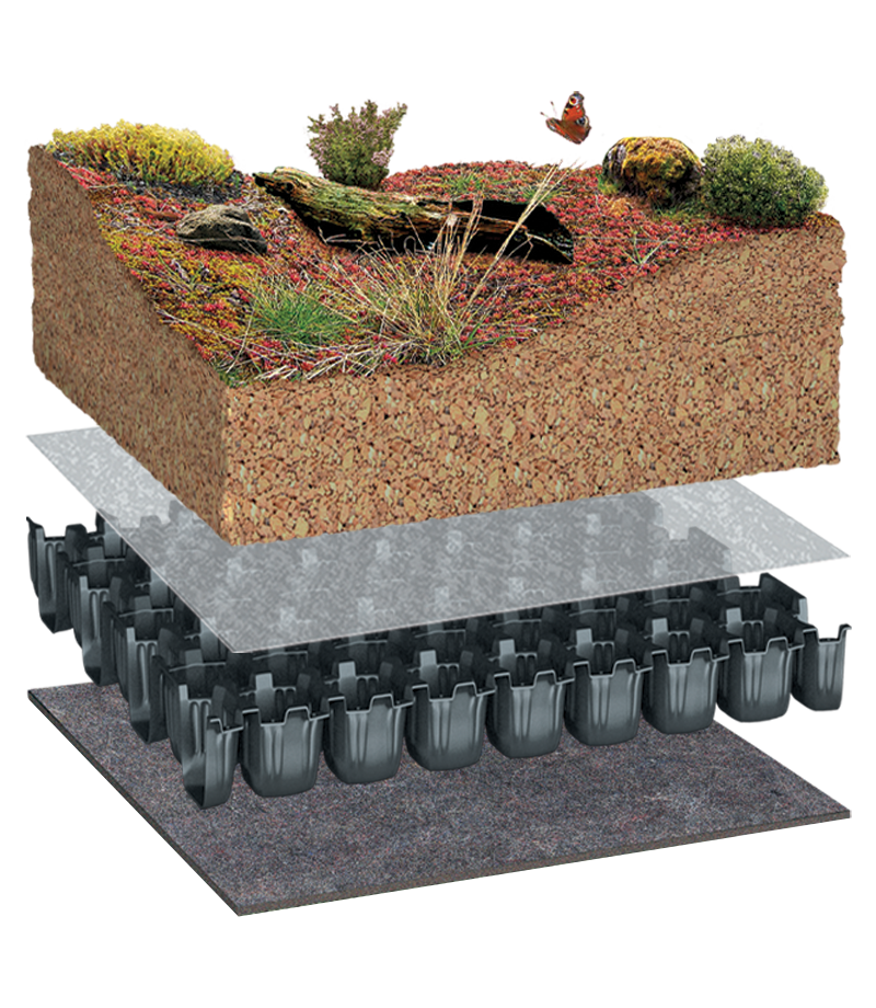 Substrate extensive green roofs
