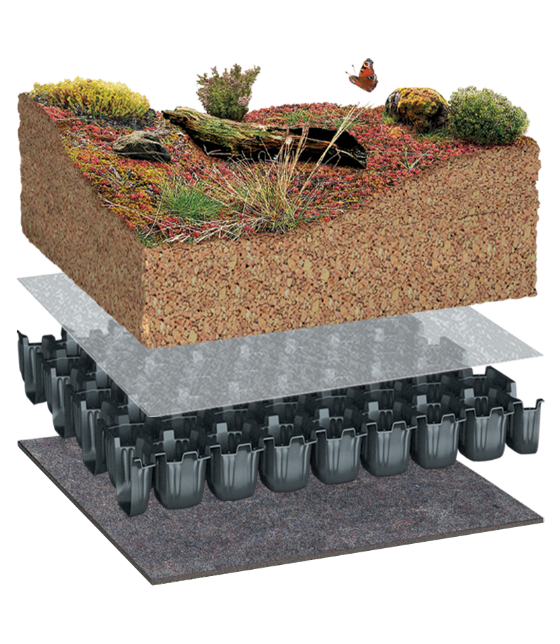 BauderBIODIVERSE with BauderGREEN Plug Plants native species wildflowers
