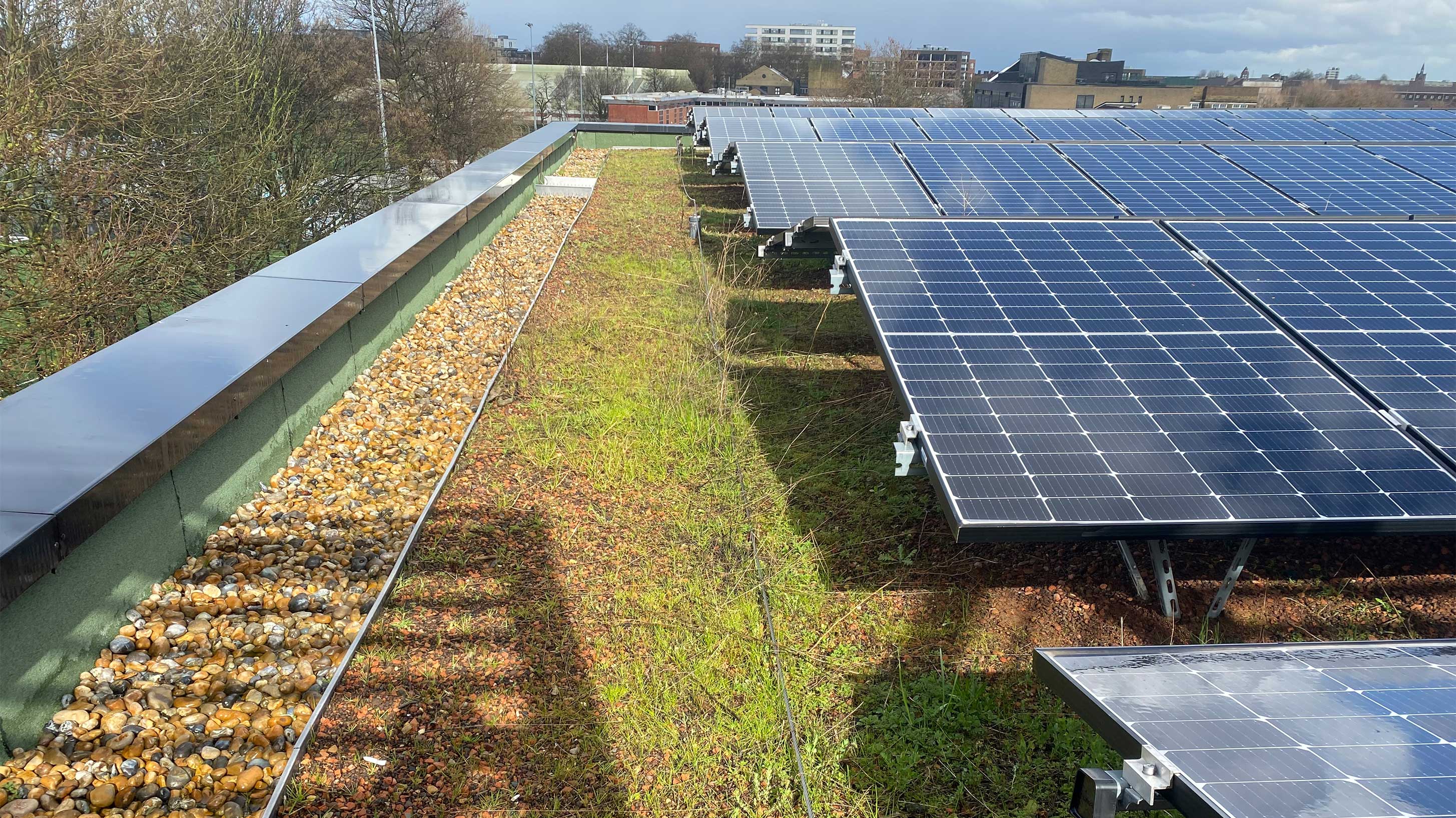 98 to 124 Brewery Road with Bauder total green roof system