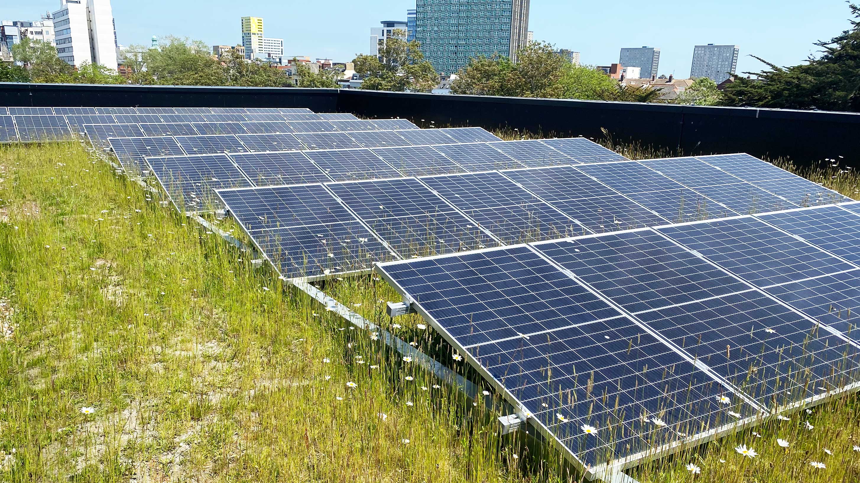Portsmouth University biosolar roof combines a green roof and solar PV
