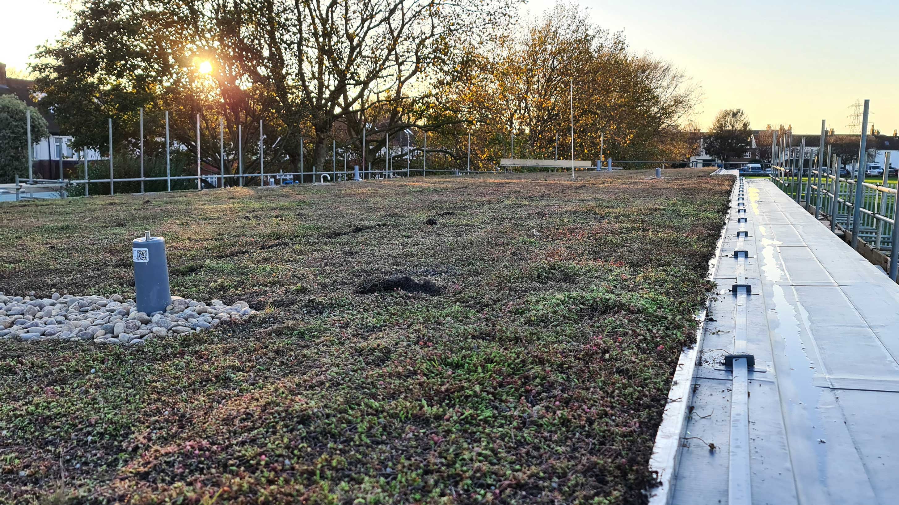 Rooftop of Victoria Road Sports Pavilion showing Bauder green xf 301 sedum system