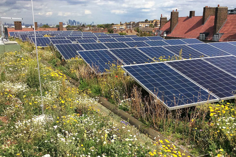 Green Roof Organisation (GRO) Best Practice Guidance
