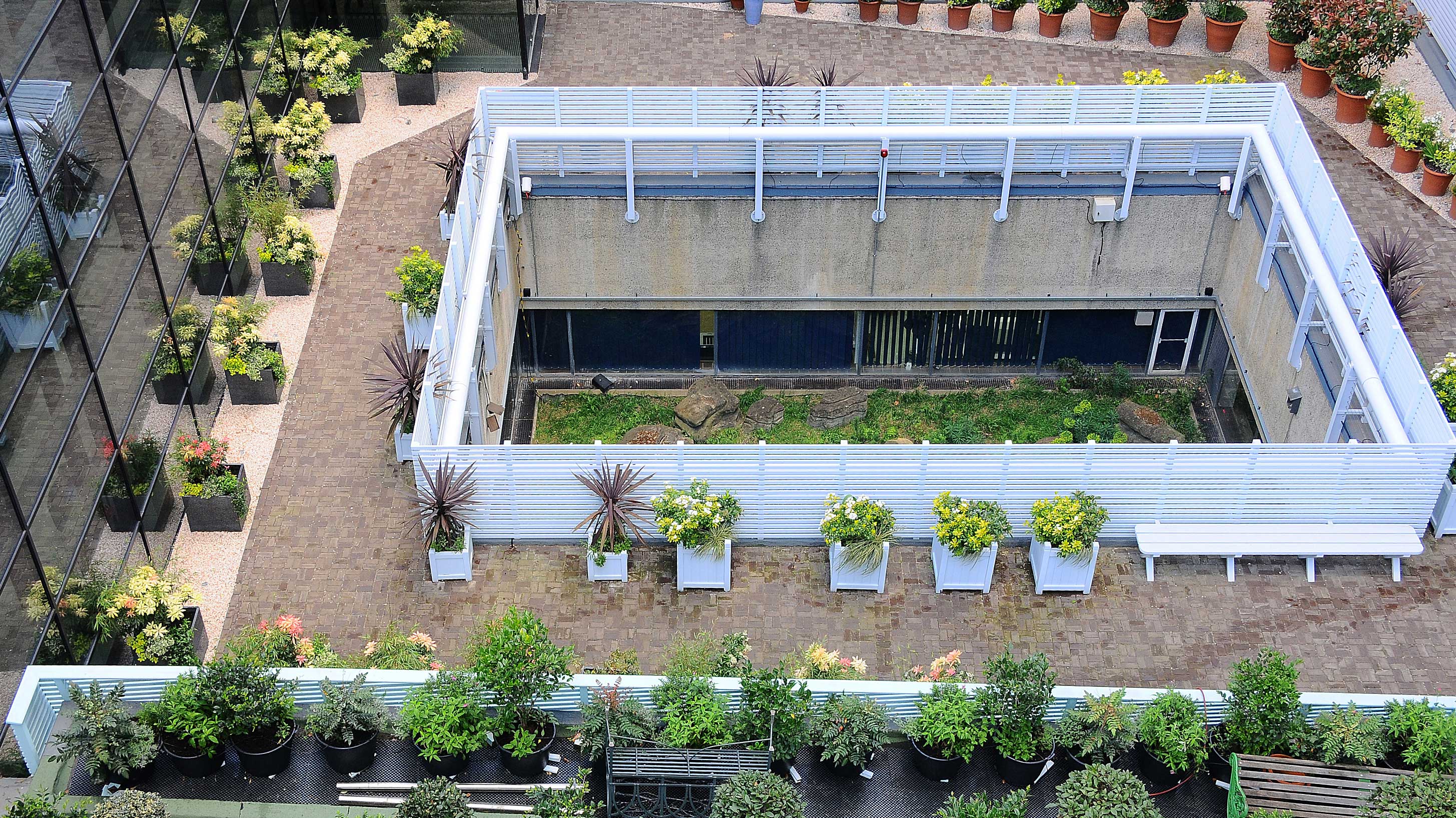 Museum of London - Visionary Roof project with Bauder Total Green Roof System