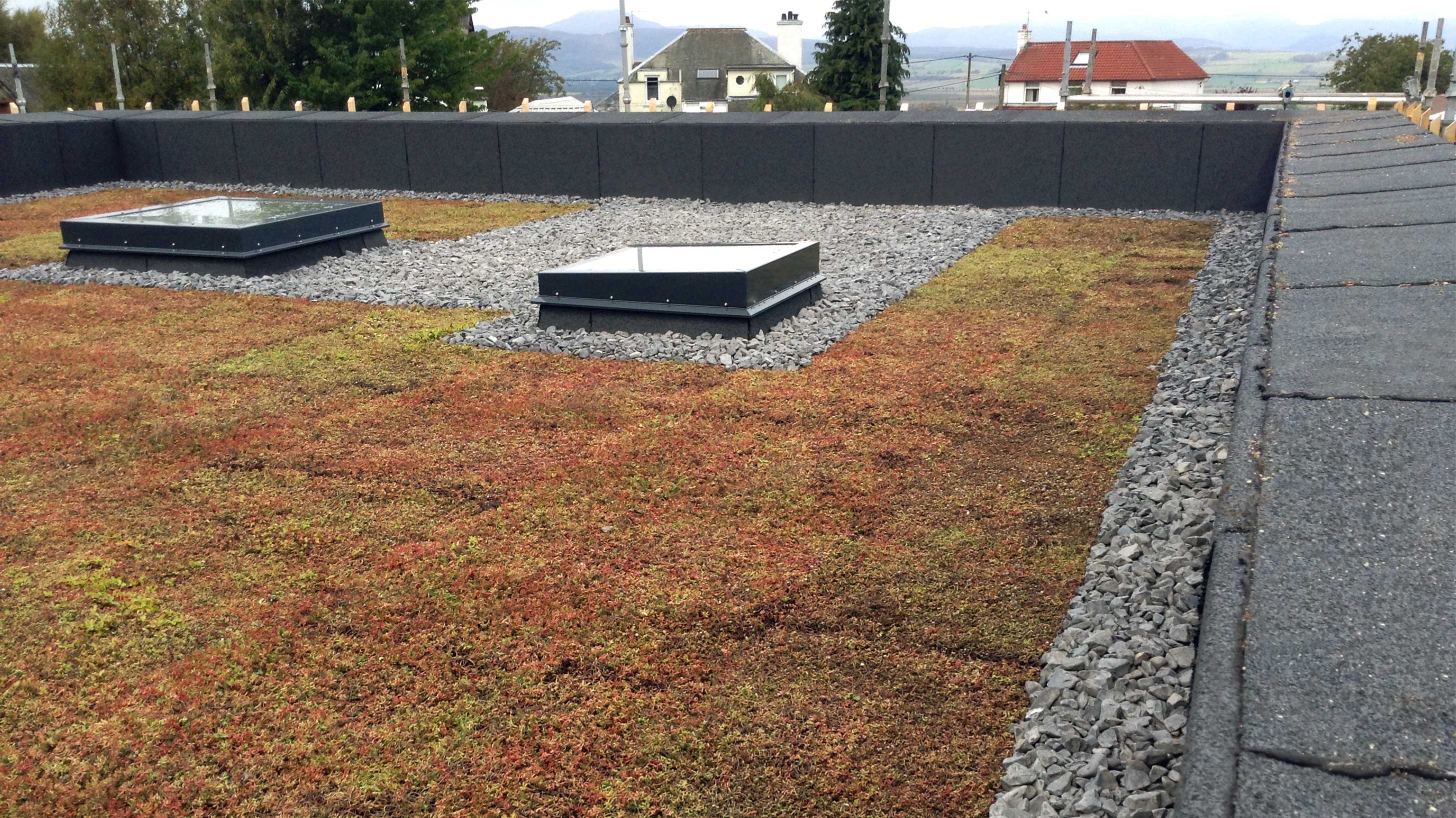 Roof of Ostro Passivhaus with Bauder Total Green Roof System installed with BauderGREEN XF 301 Sedum blanket