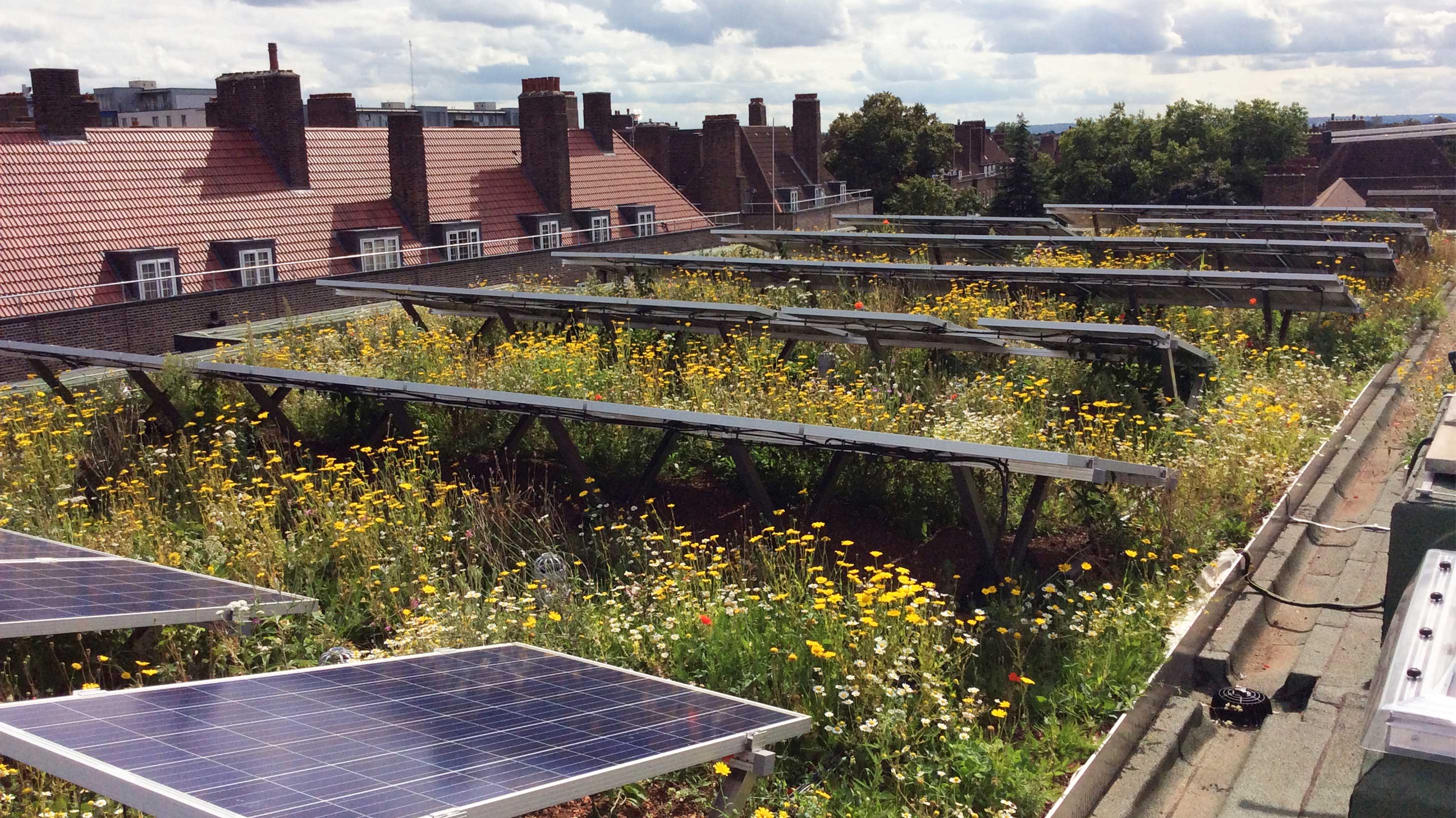 Clapham Park with Bauder Total Green Roof System and SOLAR G Light