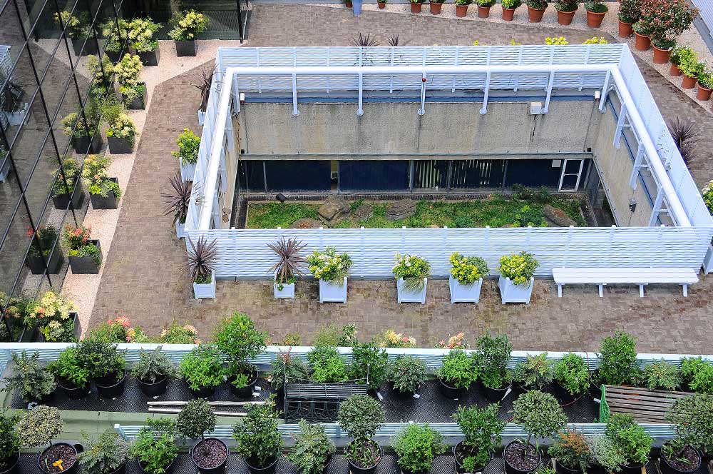 Museum of London - Visionary Roof project with Bauder Total Green Roof System
