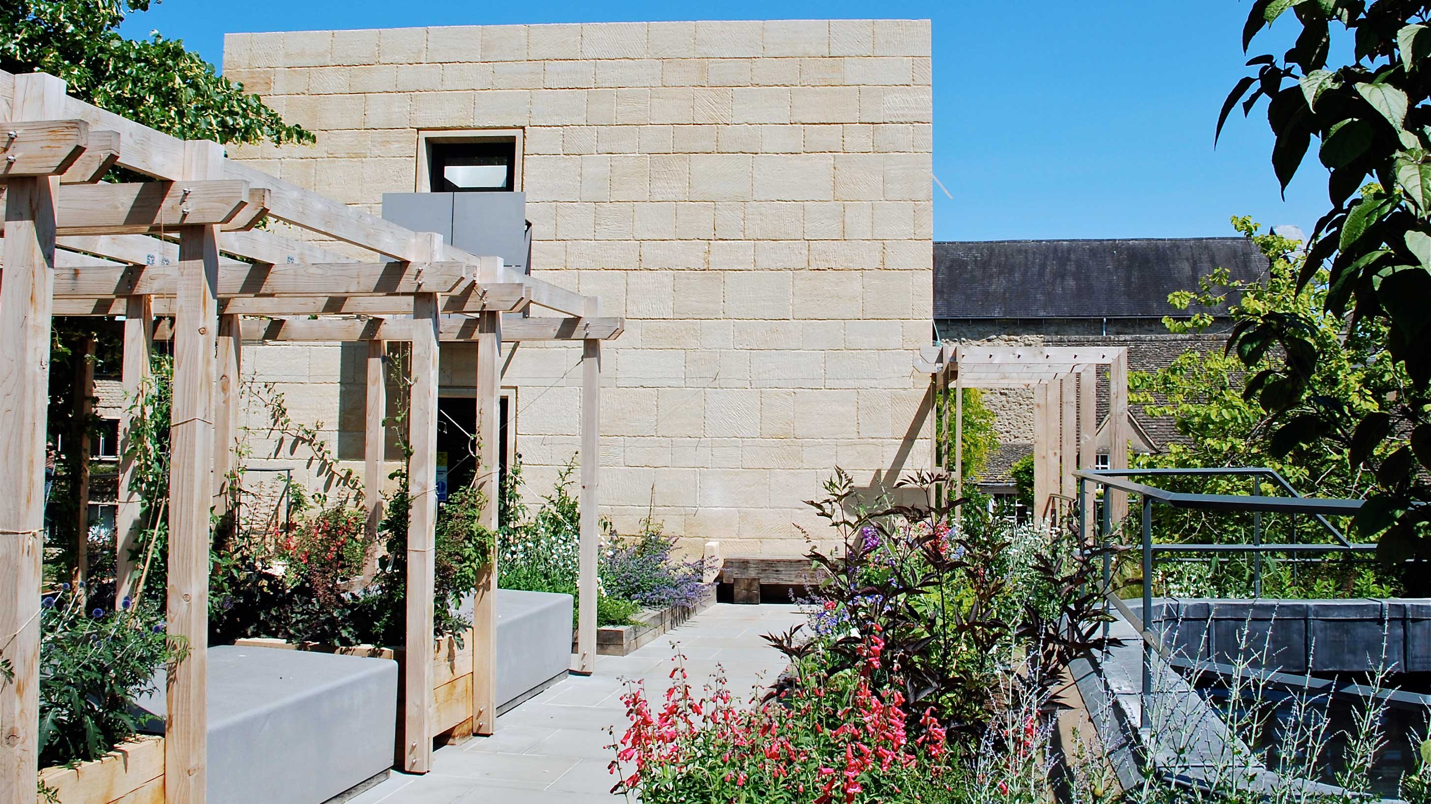 Greenery on Wadham College roof terrace
