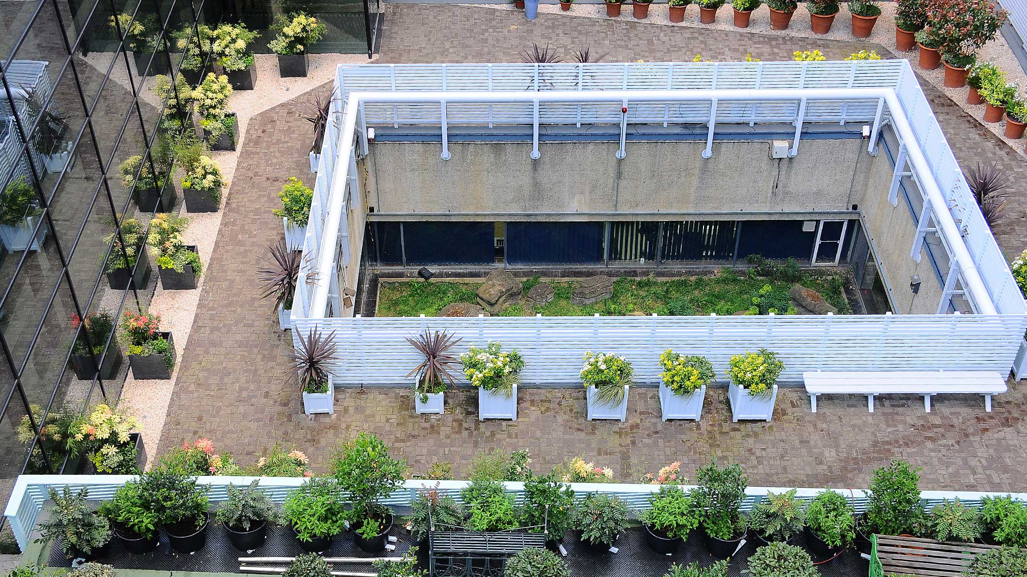 Museum of London - Visionary Roof project with Bauder Total Green Roof System