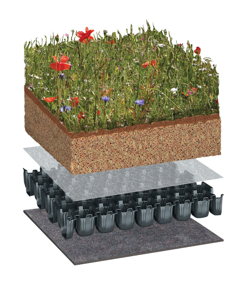 Green Roofs