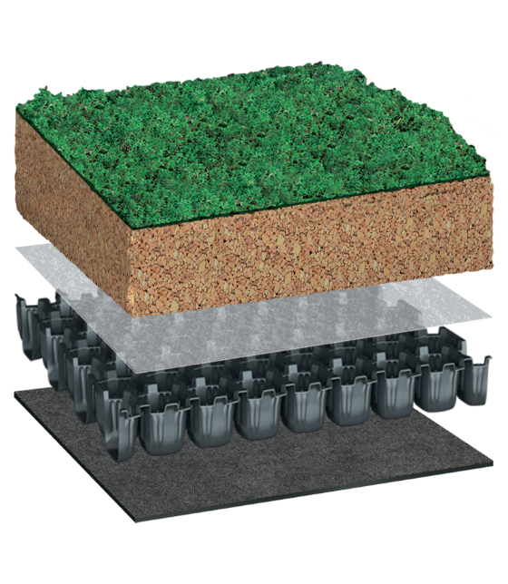 BauderEXTENSIVE SEDUMsubstrate System