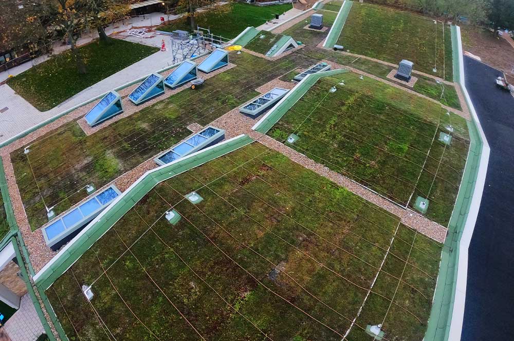 Haberdashers’ Boys’ Pre-Preparatory School with Bauder total green roof system