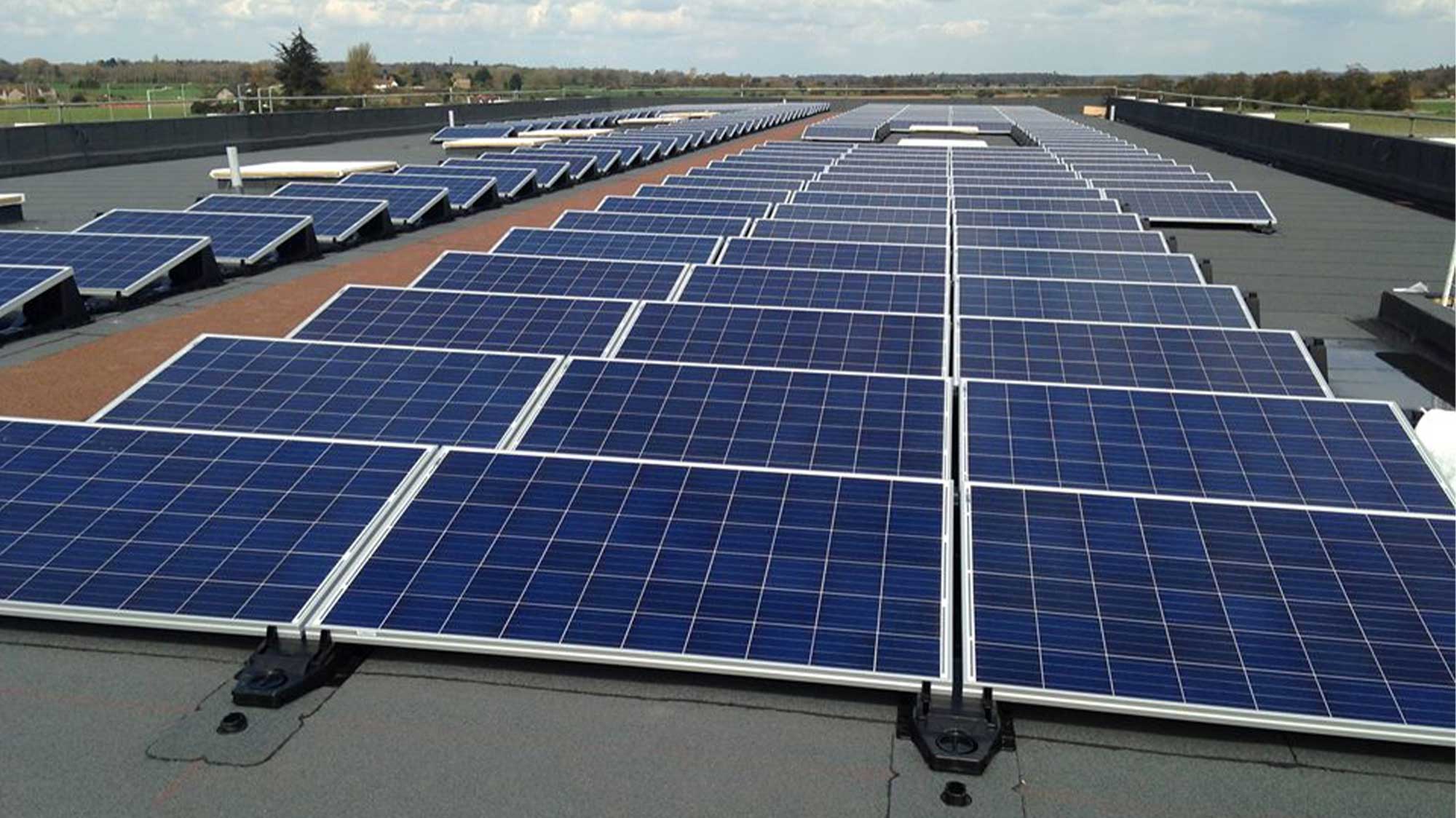 Sybil Andrews Academy rooftop with array of solar PV systems