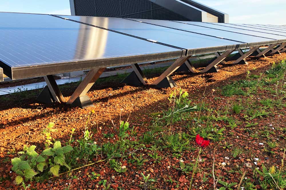 University roof with BauderGREEN and solar panels installed