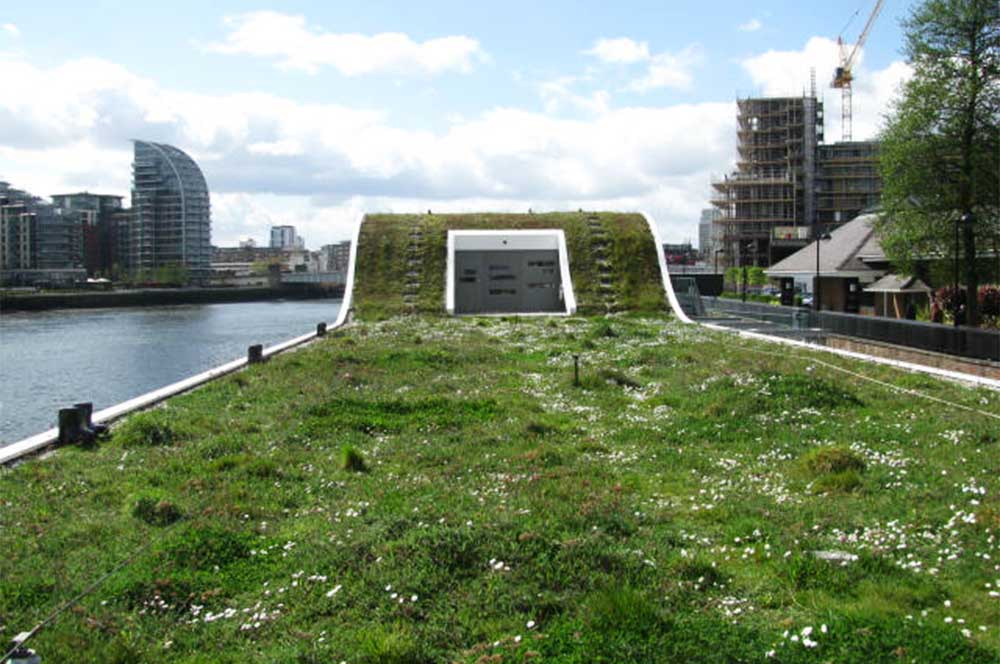 Fulham jetty, landscape view of BauderGreen sedum