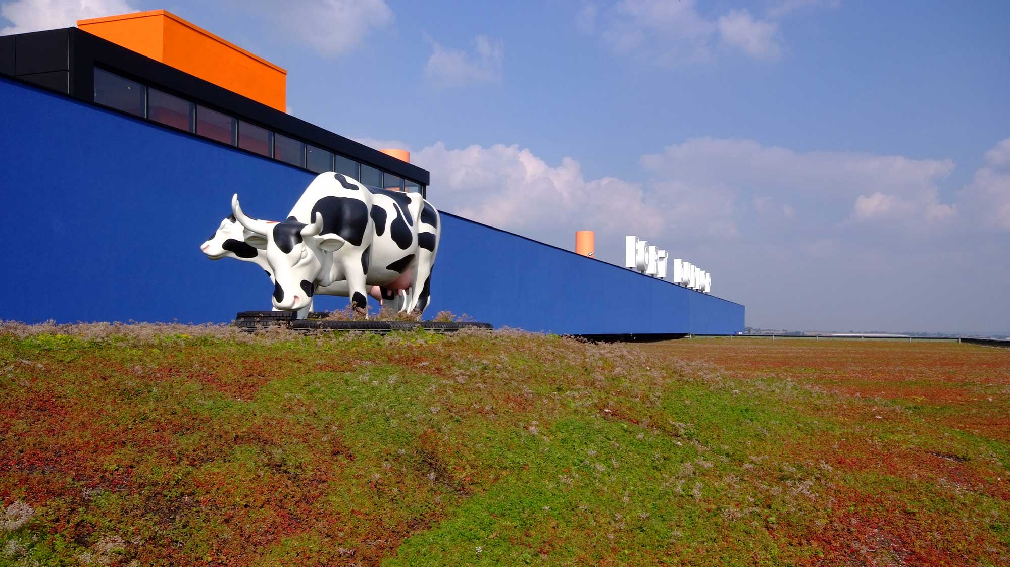 A Cow statue, located at Fort dunlop with green sedum system