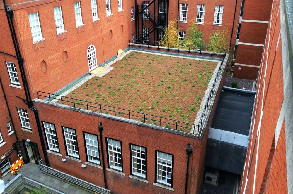 University of Manchester roof with Bauder Total Green Roof System installed