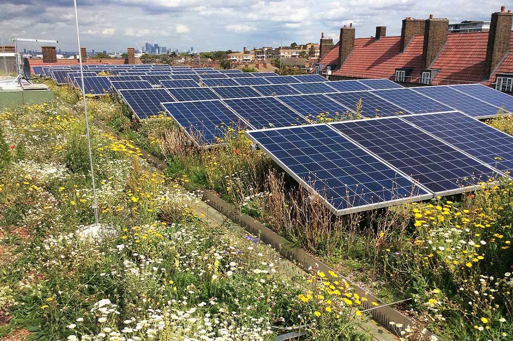 Clapham Park with Bauder Total Green Roof System and SOLAR G Light