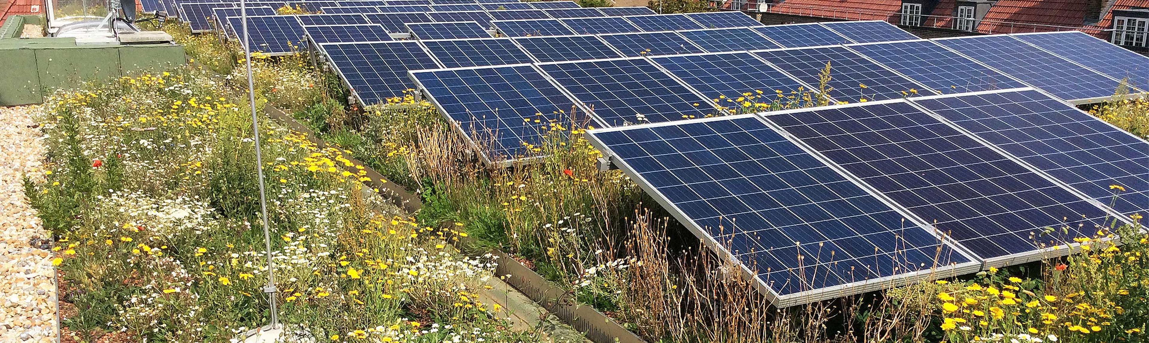 Enhancing a roof with sustainable solutions