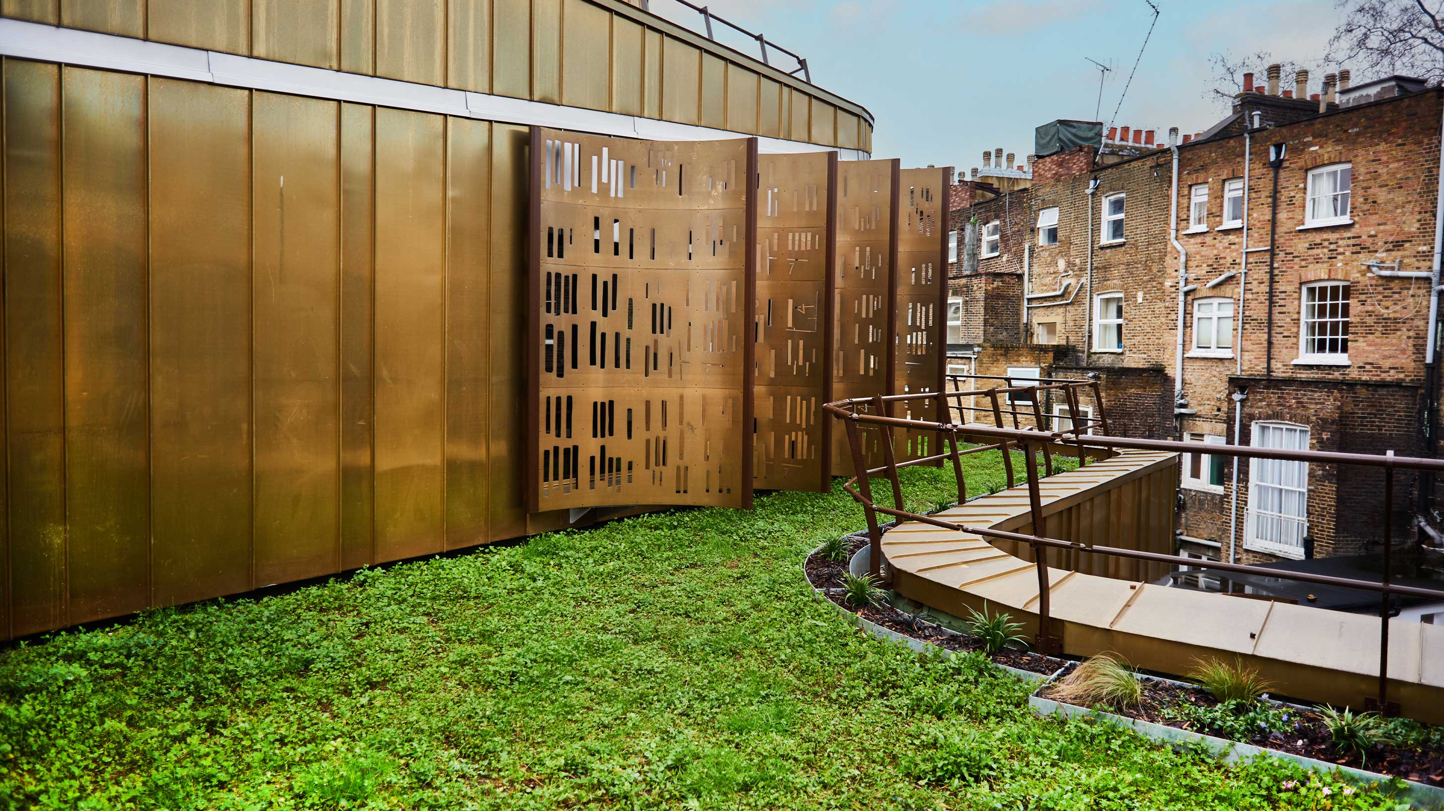 Modern architectural rooftop with wildflower blanket to provide environmental benefits