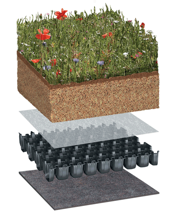 Bauder EXTENSIVE PLANT substrate build up layers
