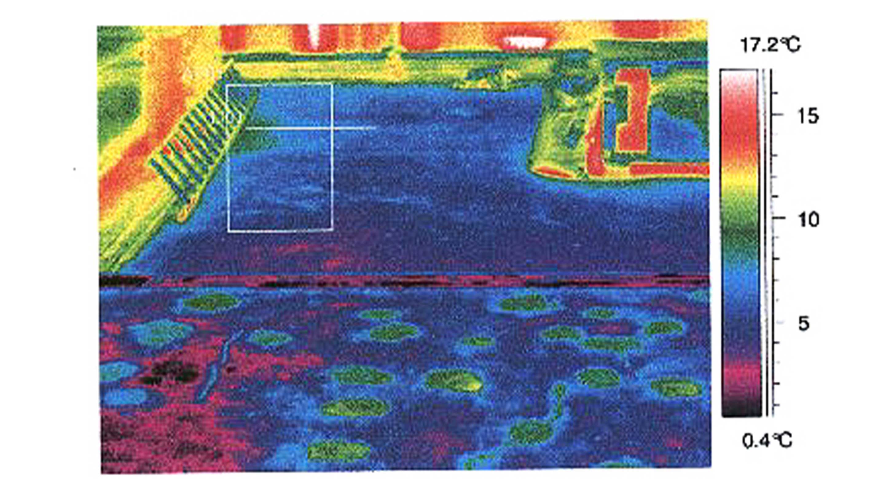 Thermal imaging showing effects after BauderThermoplan FPO single ply waterproofing system installed