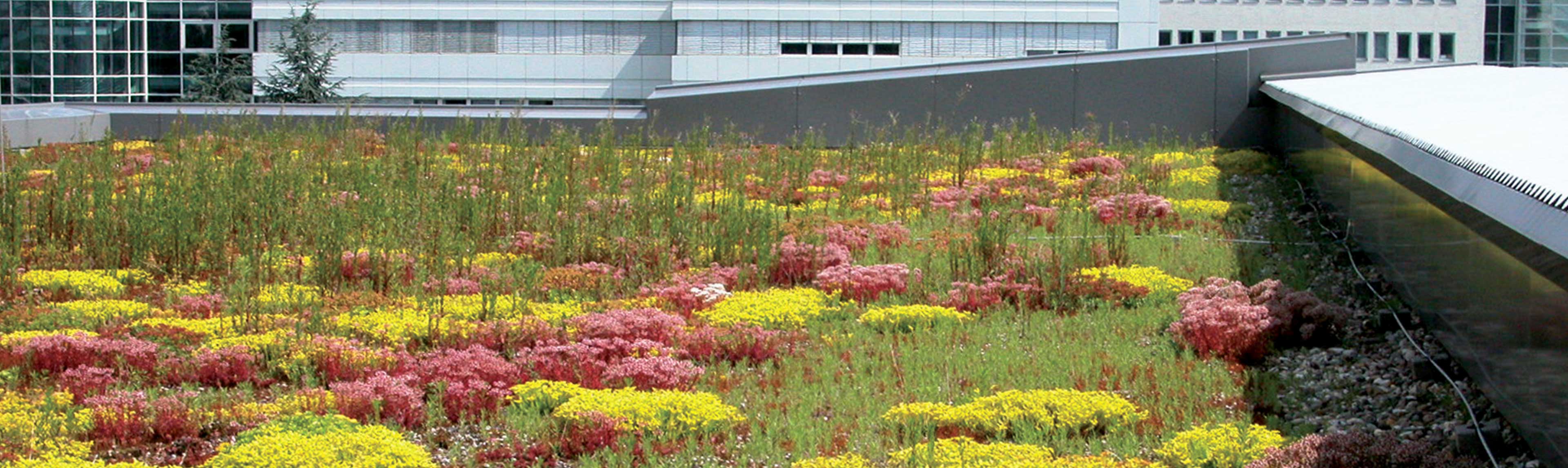 Blue roof where stormwater is attenuated below a substrate and vegetation finish on the roof