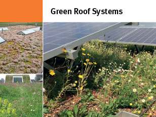 Download the brochure for information for green roofs