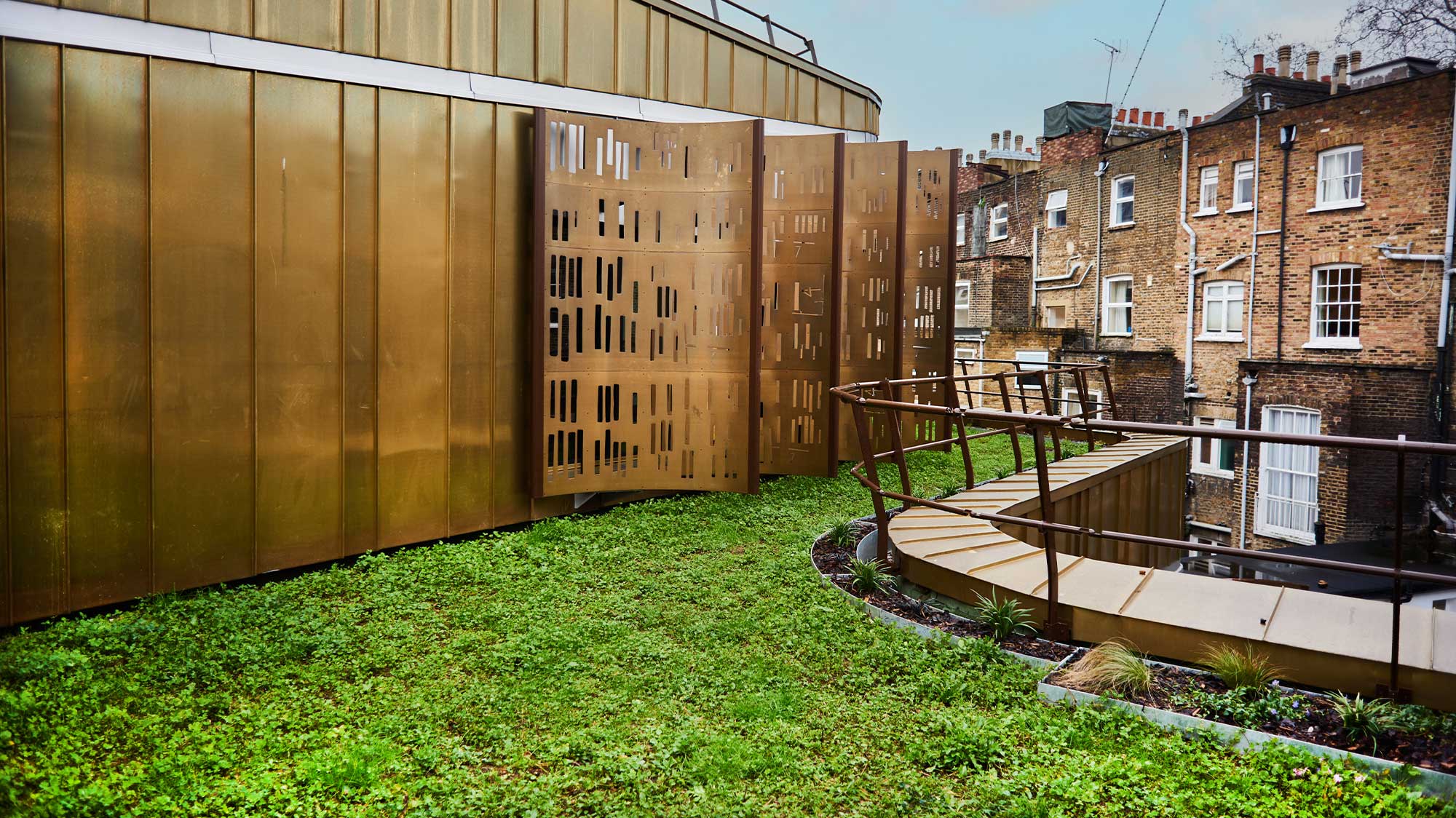 Modern architectural rooftop with wildflower blanket to provide environmental benefits