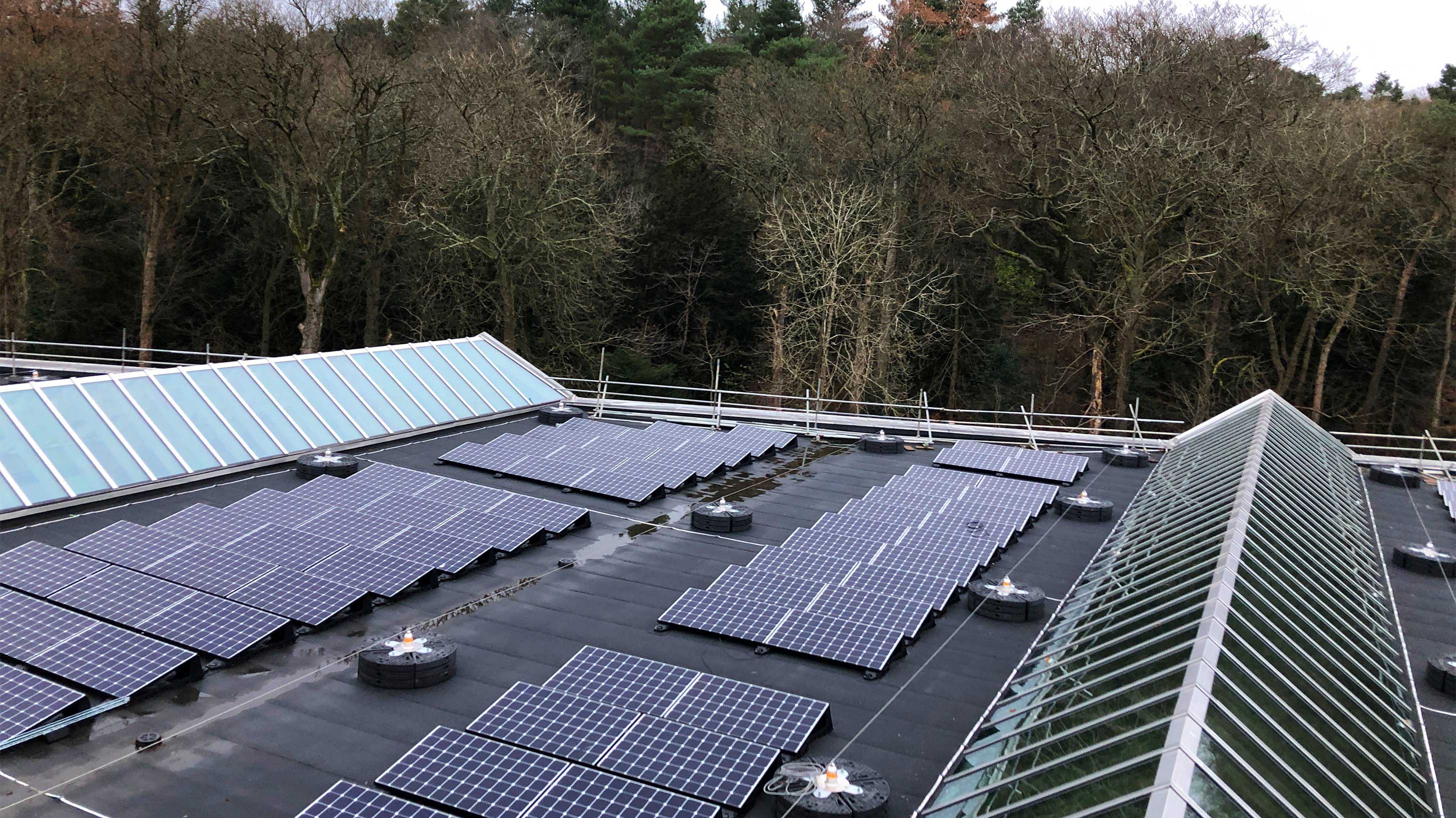 Roof of the Burrel collection with Bauder Total Roof System (BTRS) with BauderGLAS insulation and BauderSOLAR F