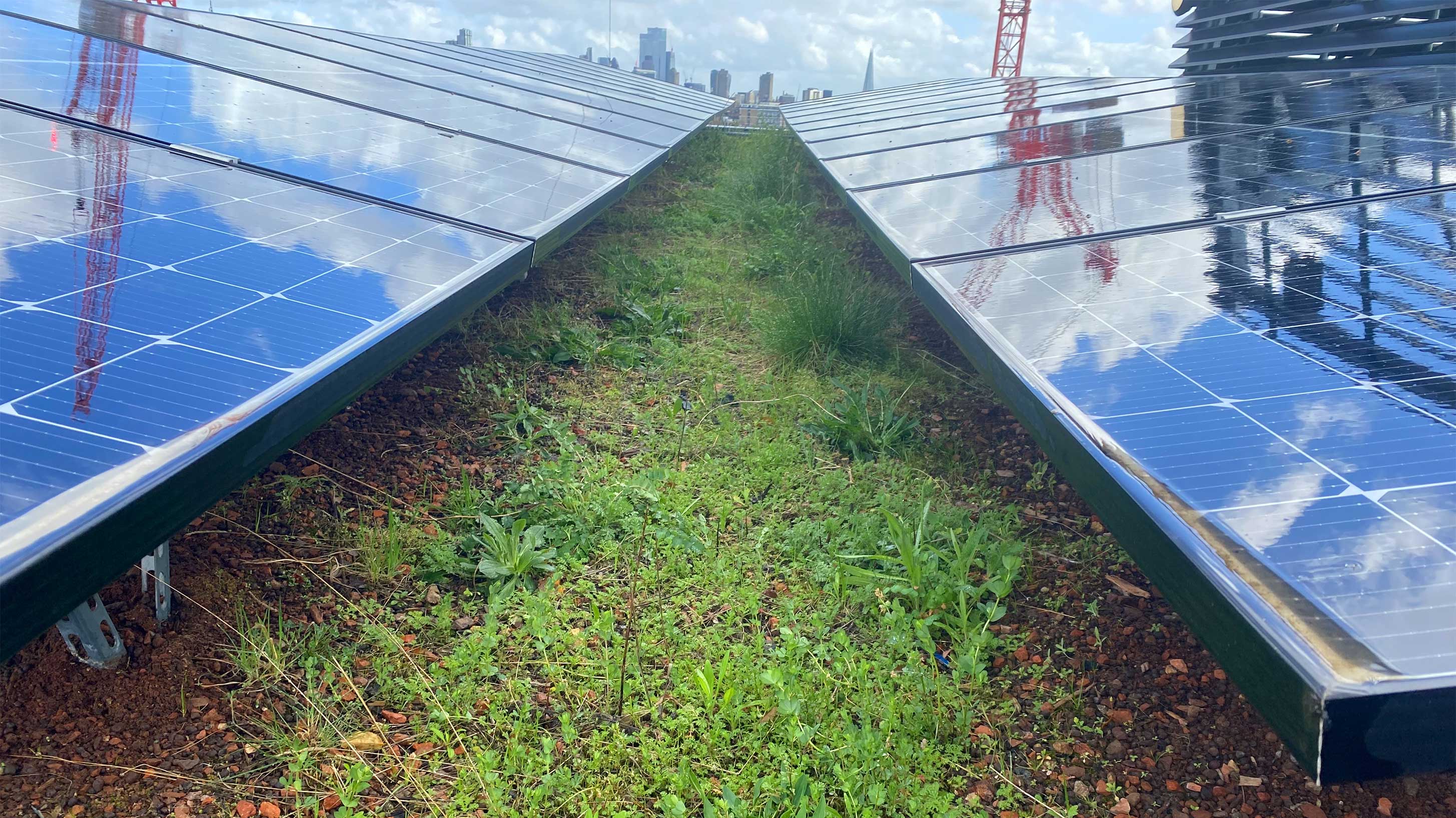 98 to 124 Brewery Road with Bauder total green roof system