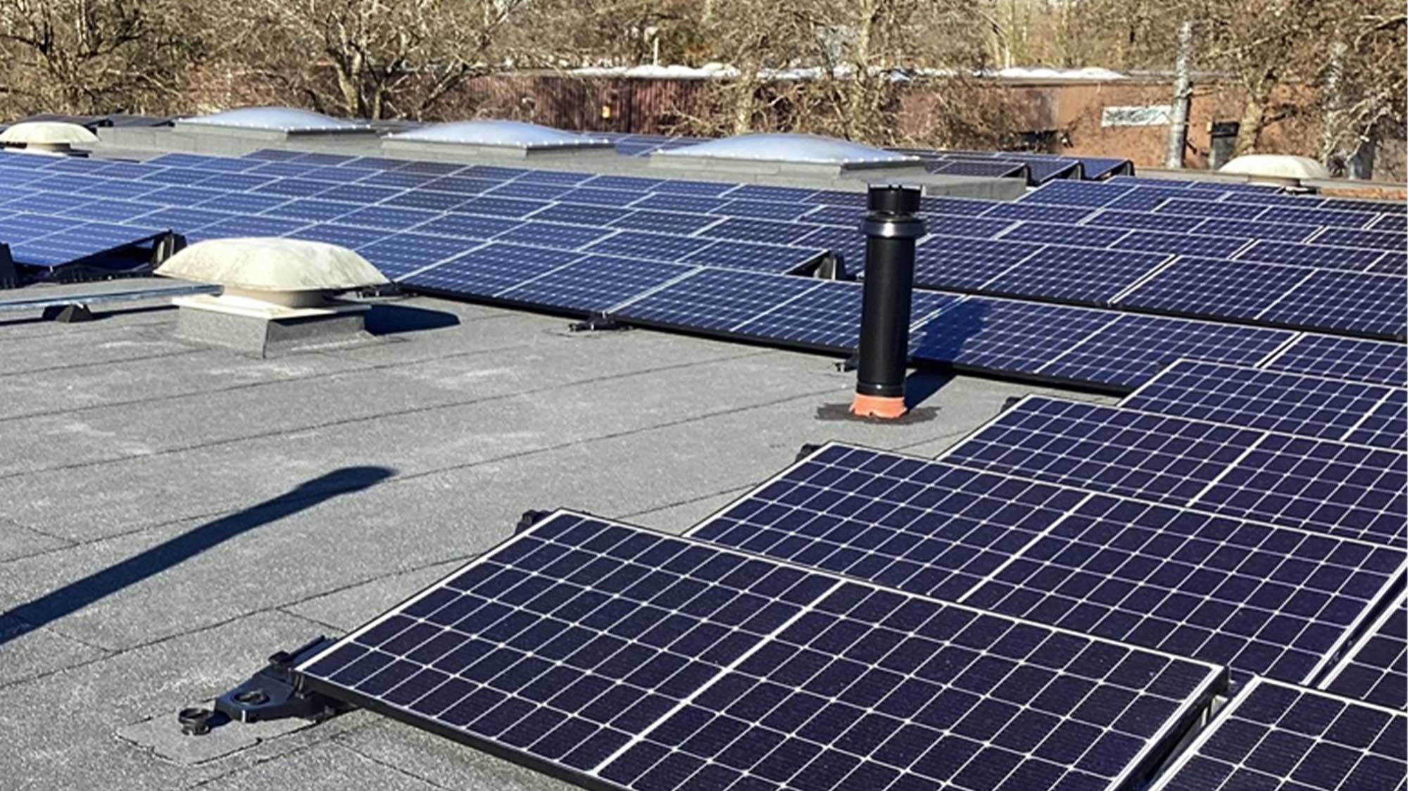 Array of solar panels on Red Forge roof