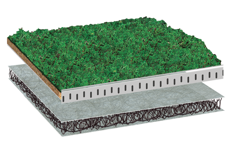 Sedum system layer breakdown