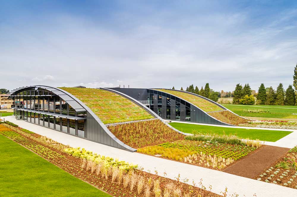 Showcasing the green roof on the CABI project