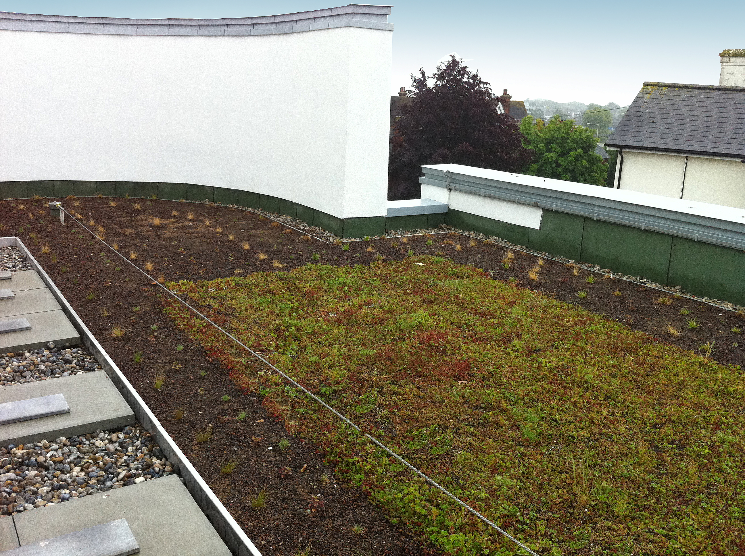 Ashford gateway roof with plug plants installed