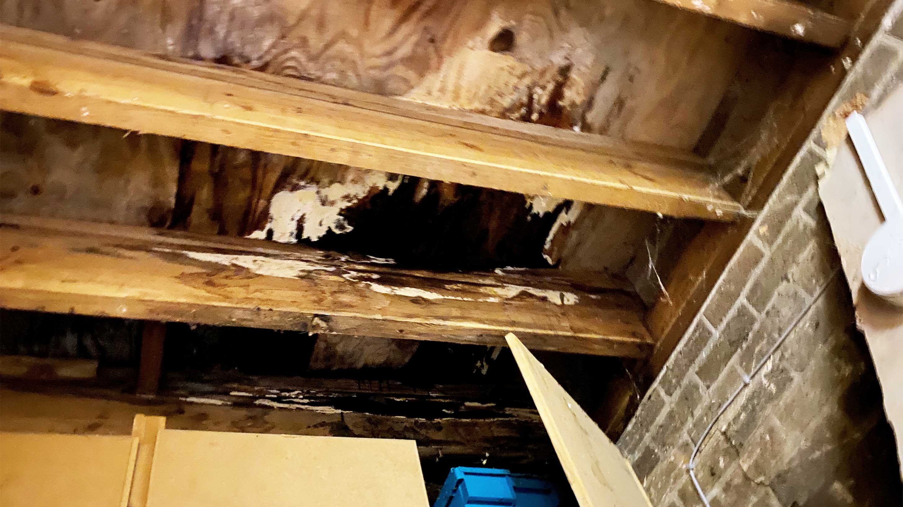 Vandalised and damaged roof with rafters sok