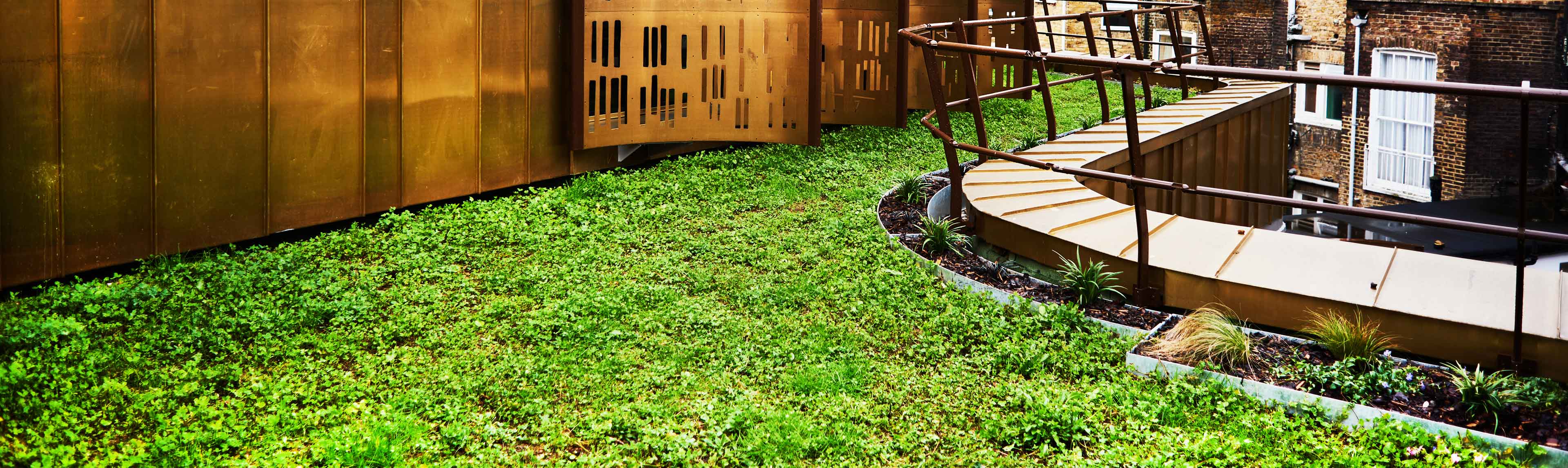 Blue roof where stormwater is attenuated below a simple vegetation finish on the roof