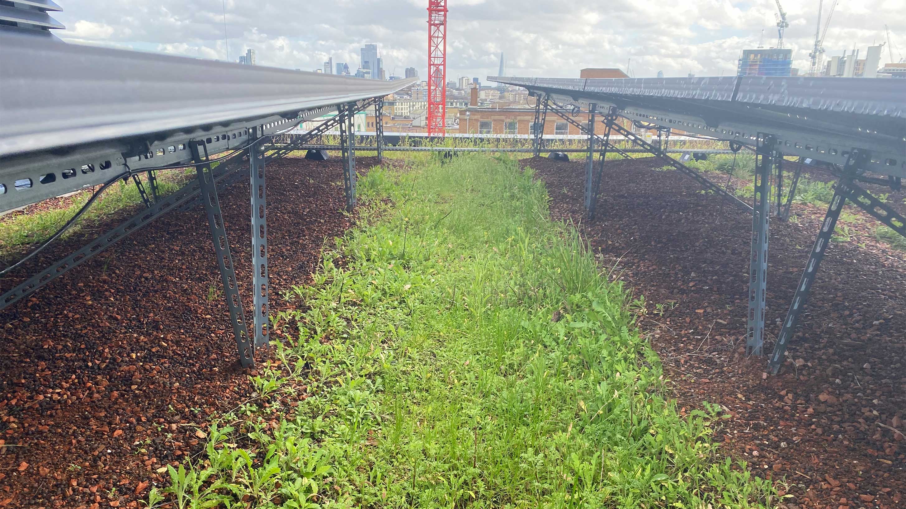 98 to 124 Brewery Road with Bauder total green roof system