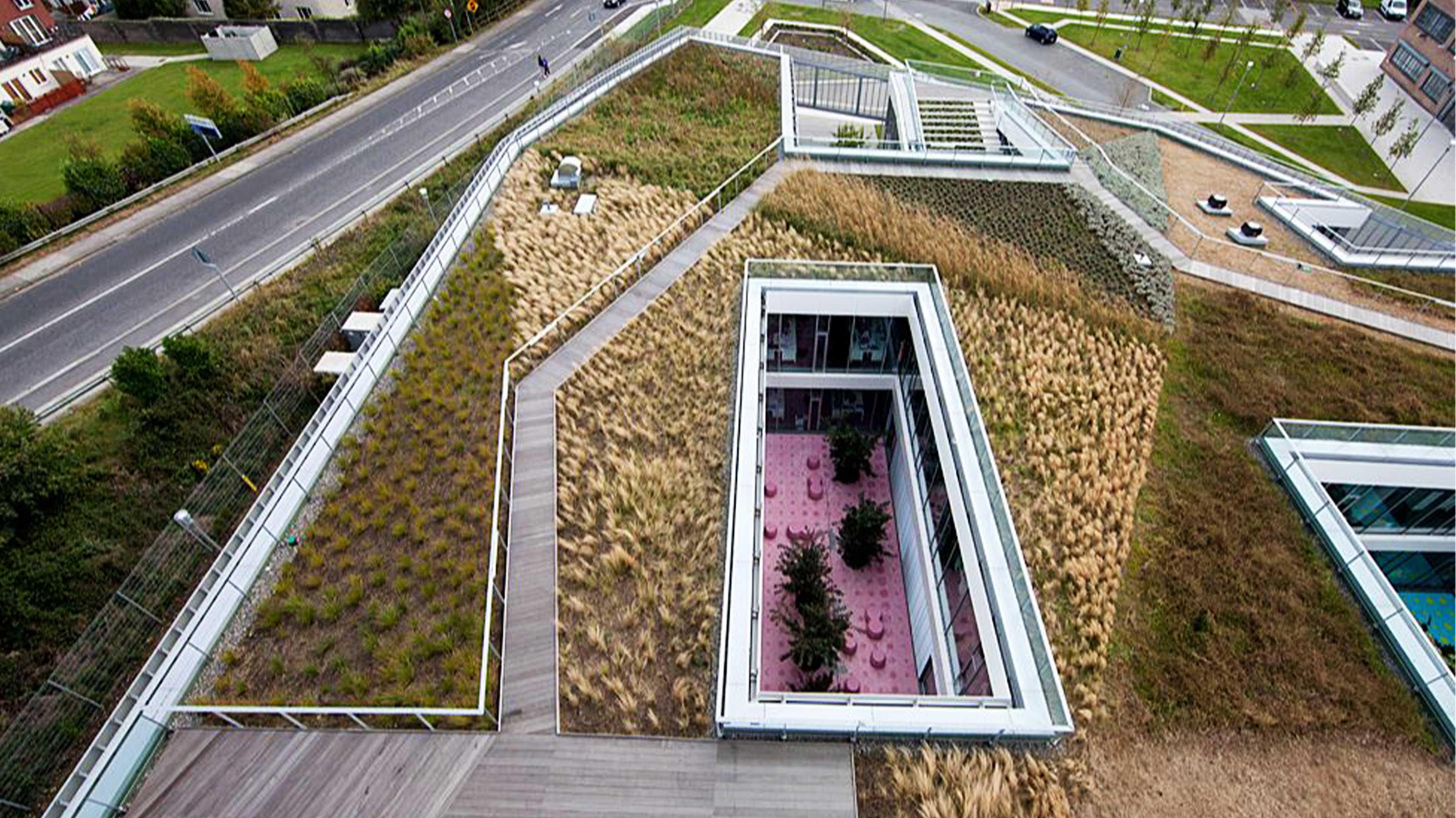 Bord Gais Networks with Bauder Total Green Roof System