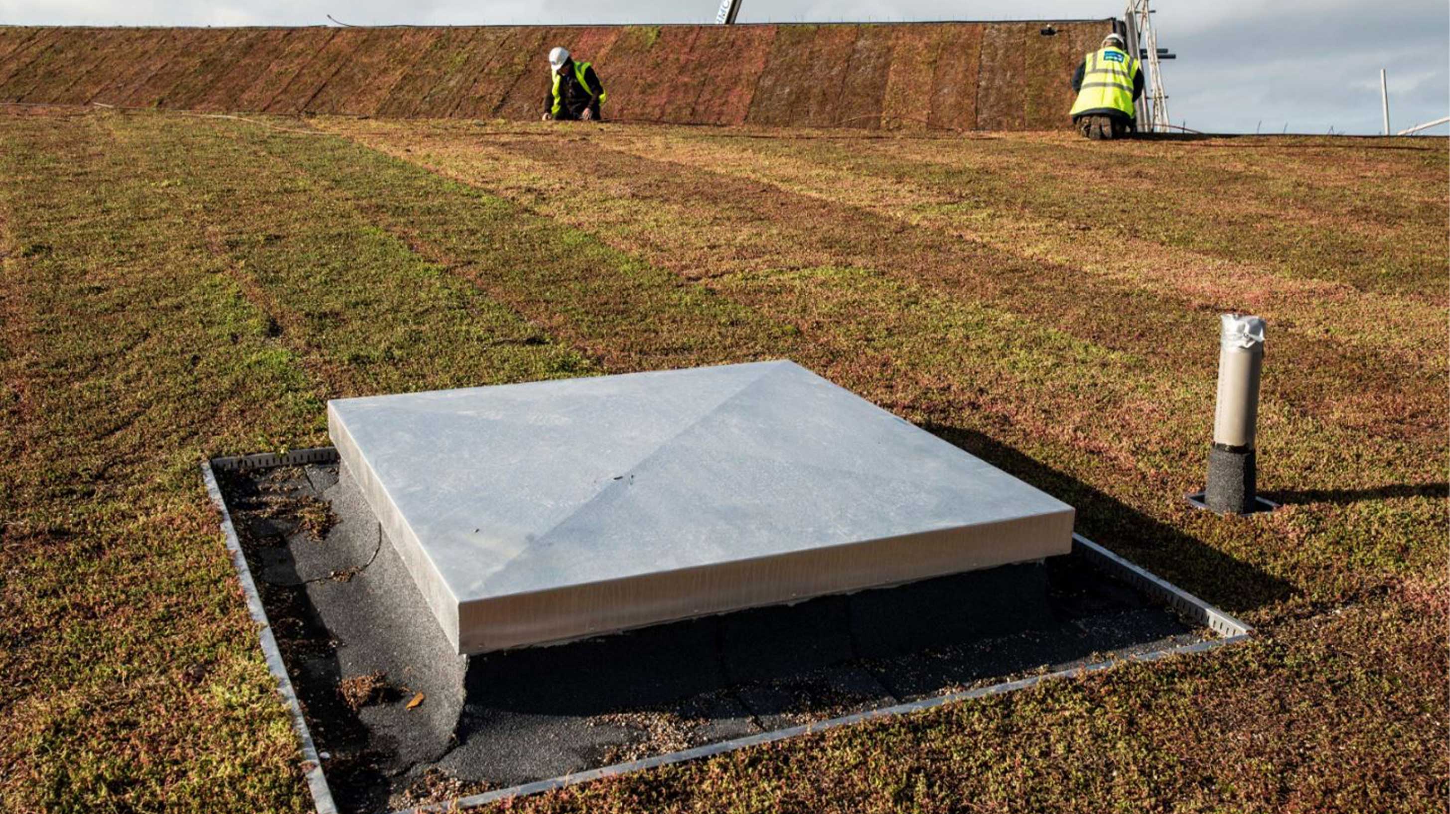 Close up of Lagg Distillery in Scotland with Bauder Total Green Roof System